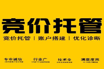 百度品牌推广案例：实战解析品牌塑造策略
